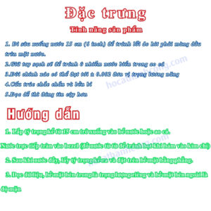 Hướng dẫn sử dụng