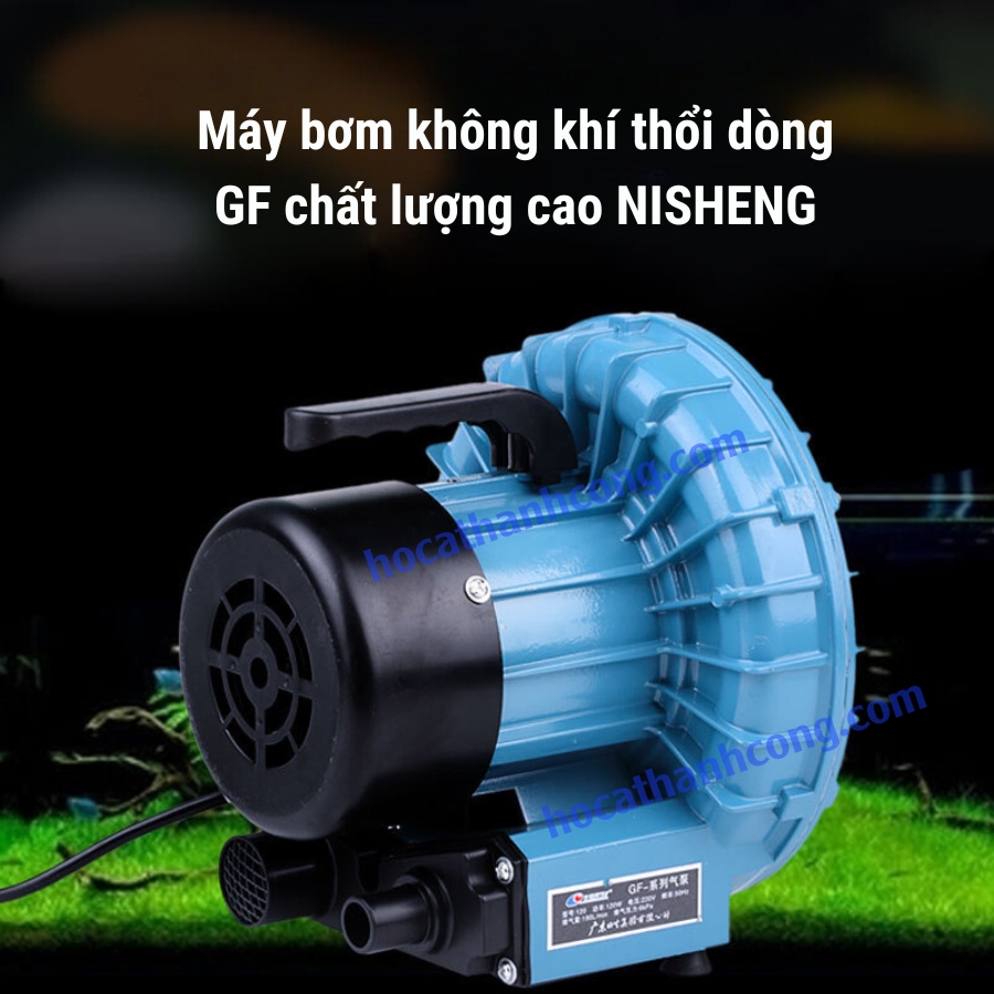 Máy thổi oxy công suất cao Máy thổi oxy công suất cao