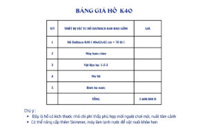 hồ cá cảnh k40