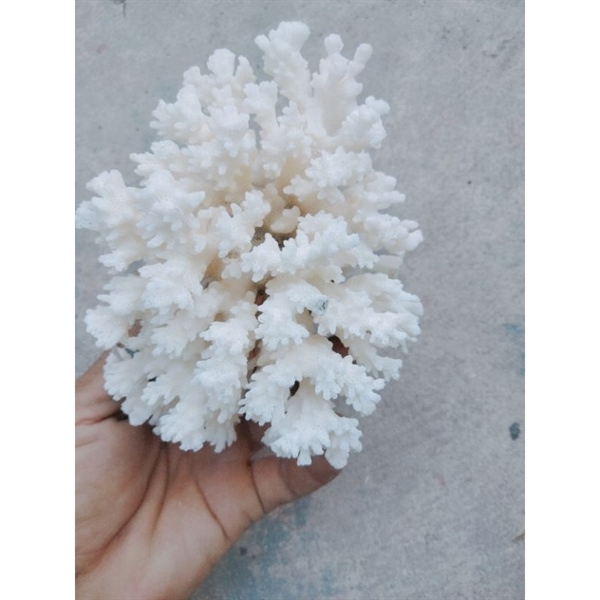 kiotviet_0d1eafab386f74635f4a4449536768bb