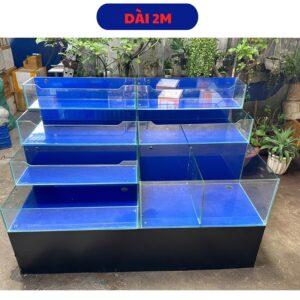 thi công hồ hải sản