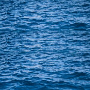 mua bán nước biển tại TPHCM