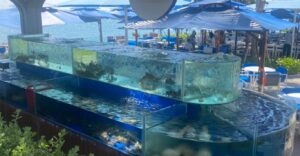 Dịch vụ thi công hồ kính