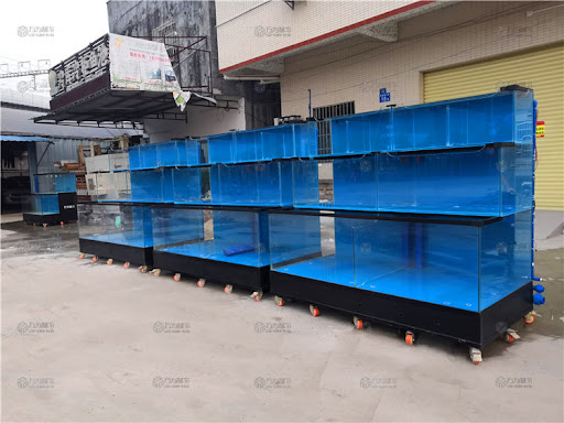 Kiểm Soát Thông Số Nước – Độc Tố – Mầm Bệnh – Giảm Hao Hụt 15–40%