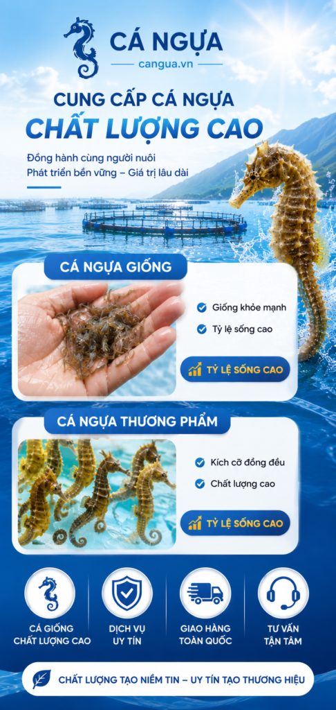cá ngựa khô